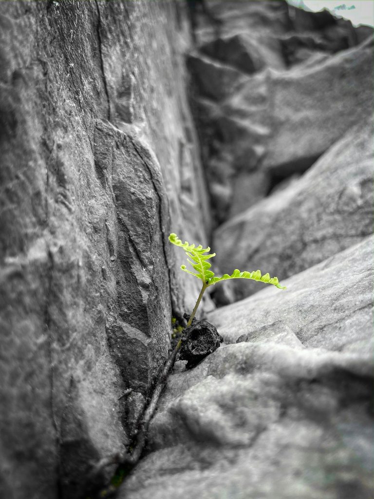 Beitragsbild von Hallo Welt